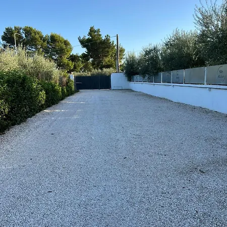 Michele Foggia